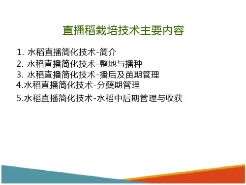 水稻栽培技术—直播水稻栽培技术