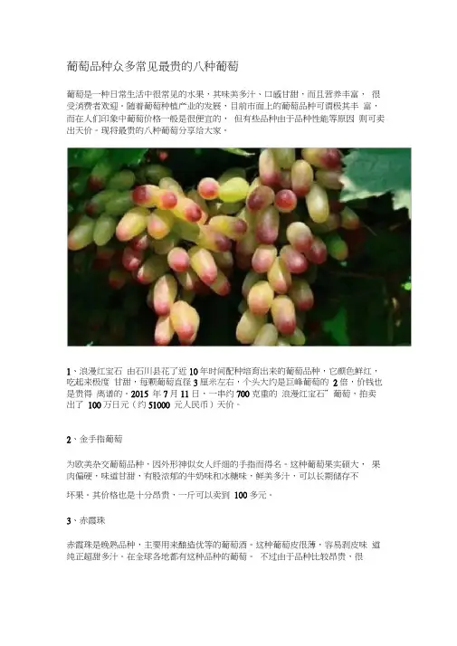 葡萄品种众多常见最贵的八种葡萄