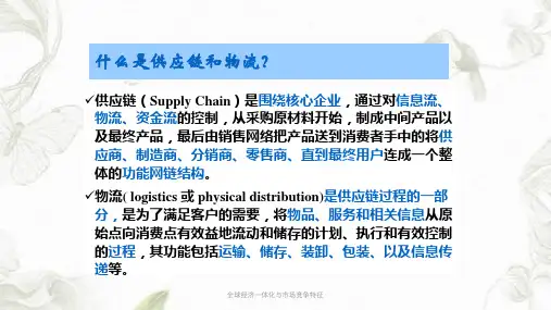 全球经济一体化与市场竞争特征PPT课件