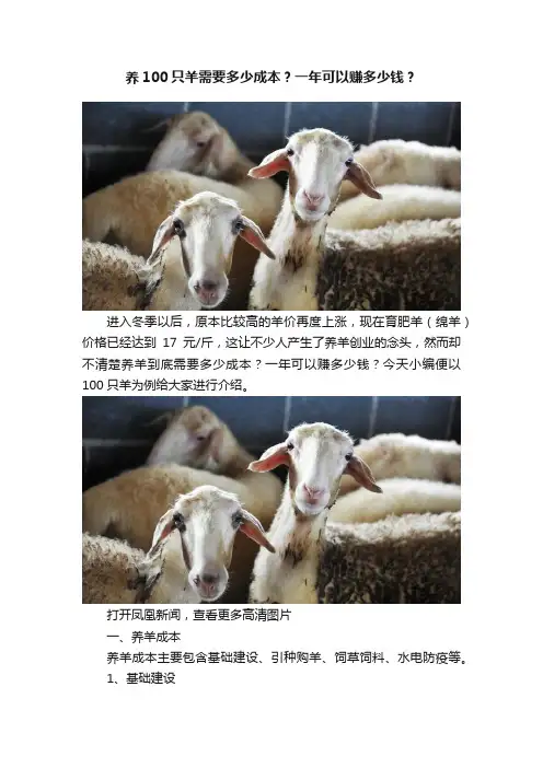 养100只羊需要多少成本？一年可以赚多少钱？