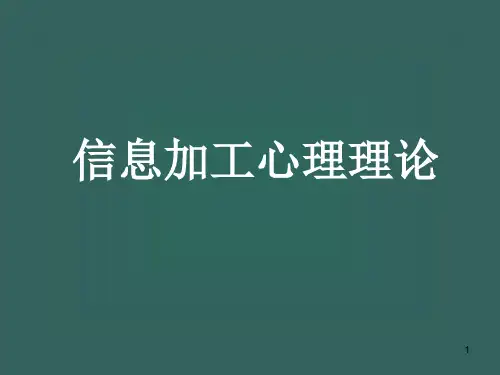 信息加工理论ppt课件