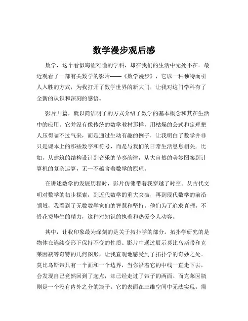 数学漫步观后感