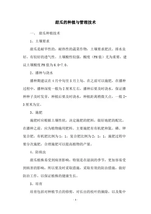 甜瓜的种植与管理技术