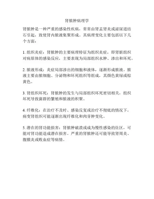 肾脓肿病理学 -回复