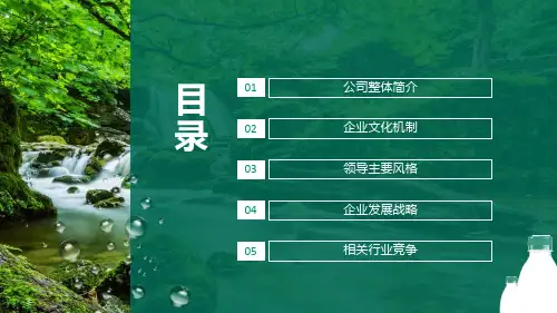 农夫山泉有点甜优质水源战略设备世界领先动态PPT课件