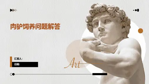 肉驴饲养问题解答