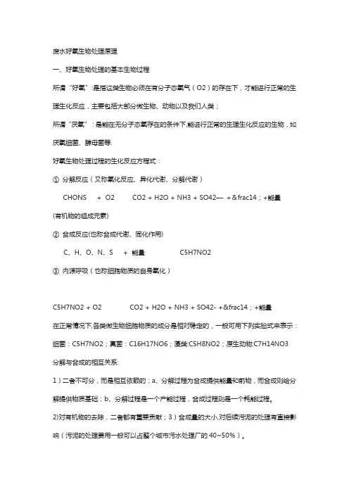 废水处理厌氧和好氧生物处理技术