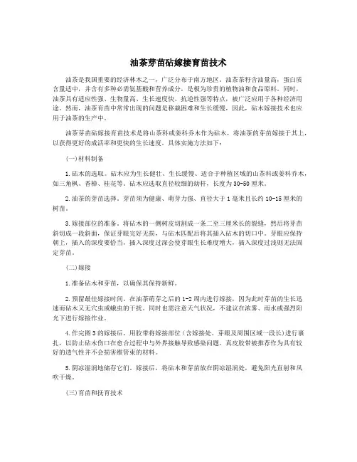 油茶芽苗砧嫁接育苗技术