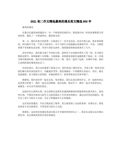 2021初二作文精选最美的遇见范文精选800字