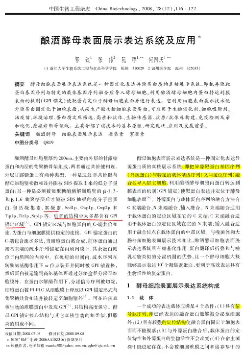 酿酒酵母表面展示表达系统及应用