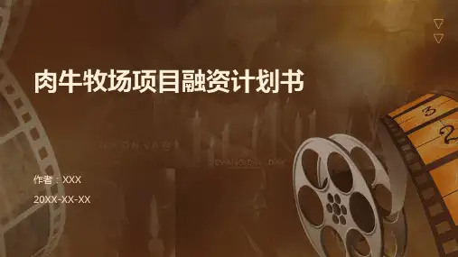 肉牛牧场项目融资计划书