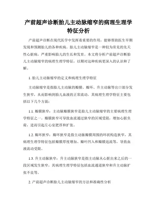 产前超声诊断胎儿主动脉缩窄的病理生理学特征分析