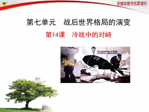 冷战中的对峙
