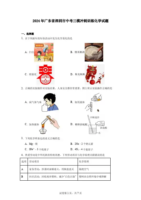 2024年广东省深圳市中考三模冲刺训练化学试题
