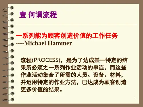 企业流程再造详细解释课堂PPT