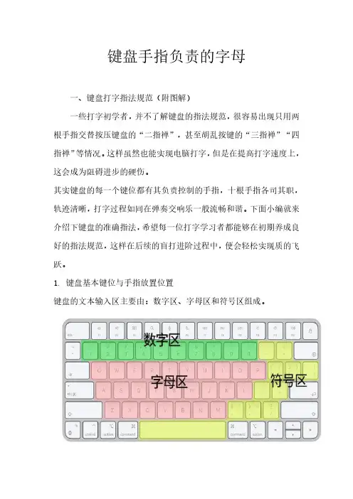 键盘手指负责的字母