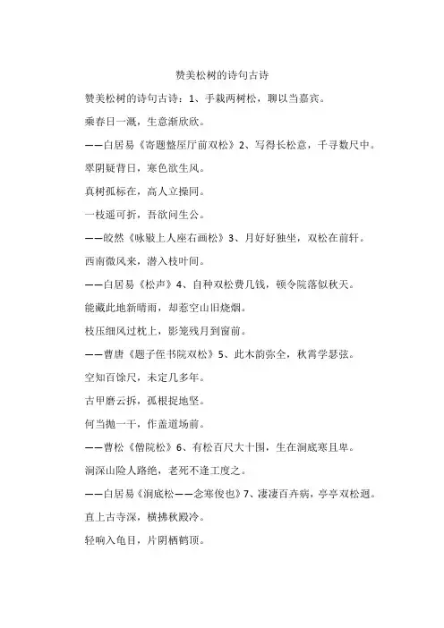 赞美松树的诗句古诗