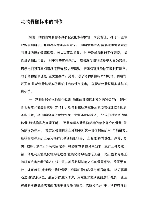 动物骨骼标本的制作