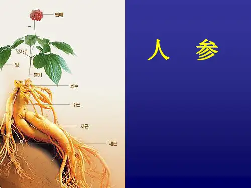 人参栽培技术