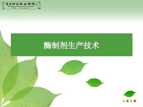 课件二酶活与影响酶活性的因素.