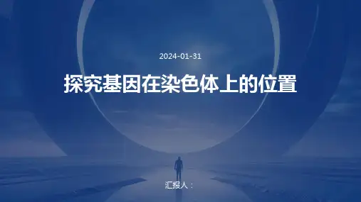 探究基因在染色体上的位置