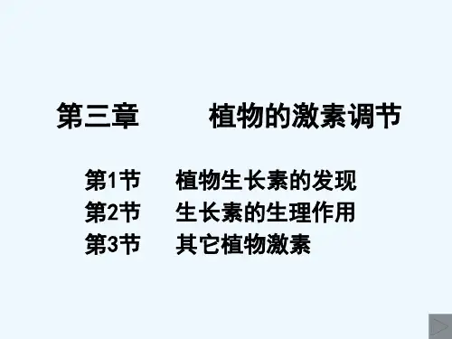 高中生物第3章植物的激素调节课件人教版必修3