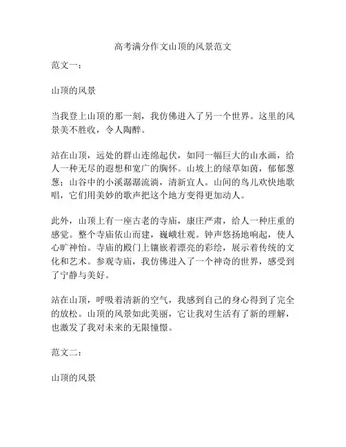 高考满分作文山顶的风景范文
