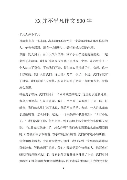 XX并不平凡 作文800字