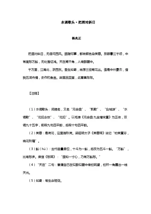 把酒对斜日,无语问西风——《水调歌头》原文、译文与赏析