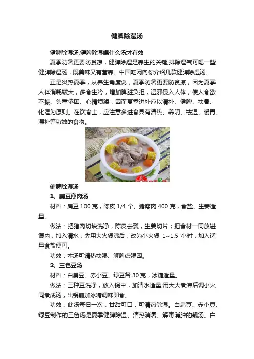 健脾除湿汤