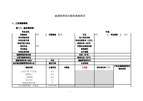 能源利用状况报告表格样式