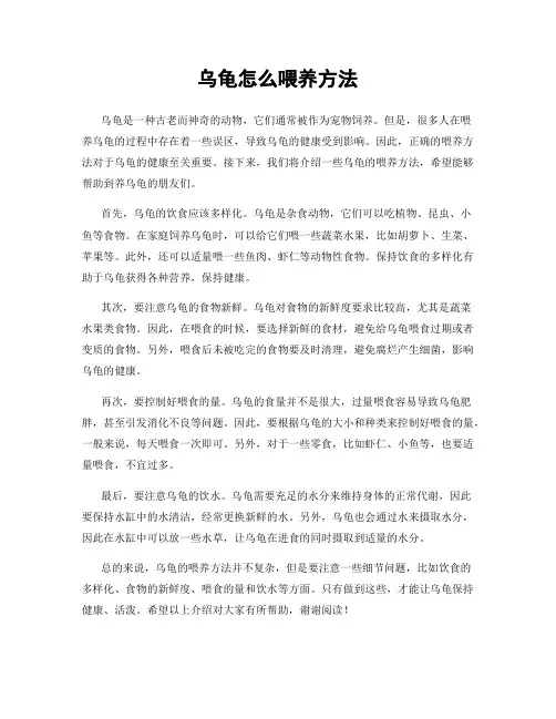 乌龟怎么喂养方法