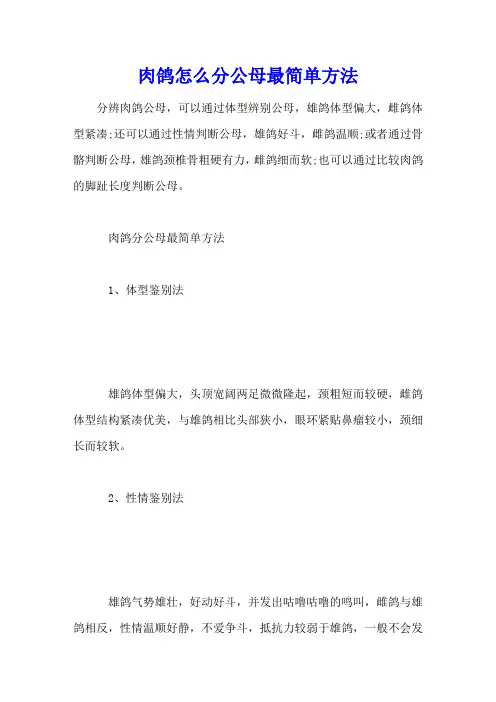 肉鸽怎么分公母最简单方法