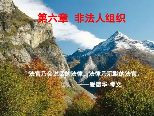 第六章非法人组织