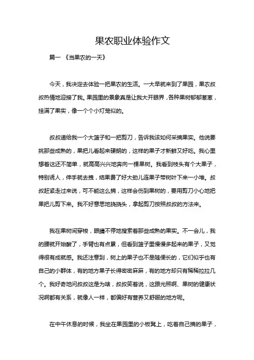 果农职业体验作文