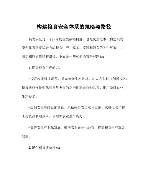 构建粮食安全体系的策略与路径