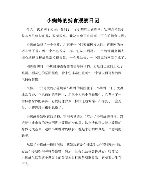  小学三年级作文小蜘蛛的捕食观察日记