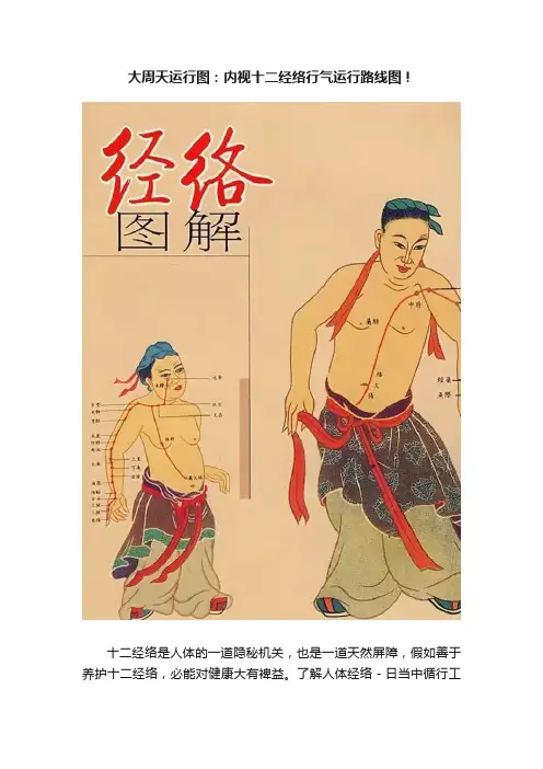 大周天运行图：内视十二经络行气运行路线图！