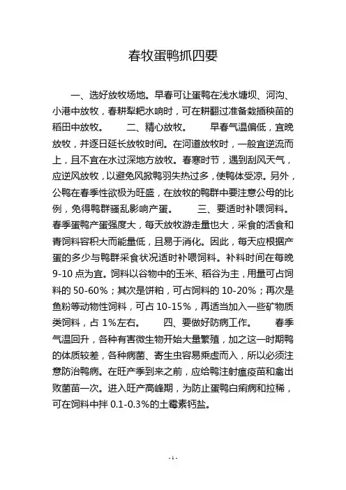 春牧蛋鸭抓四要