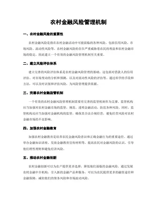 农村金融风险管理机制