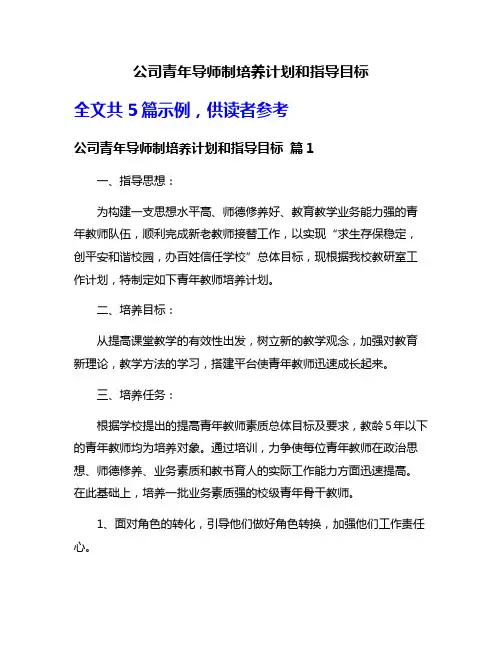 公司青年导师制培养计划和指导目标