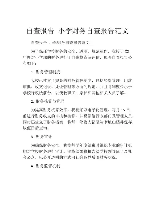 自查报告 小学财务自查报告范文