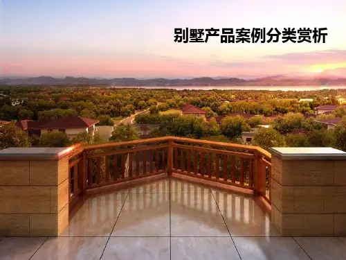 《别墅类产品研究》PPT课件