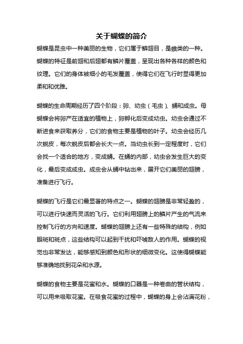 关于蝴蝶的简介