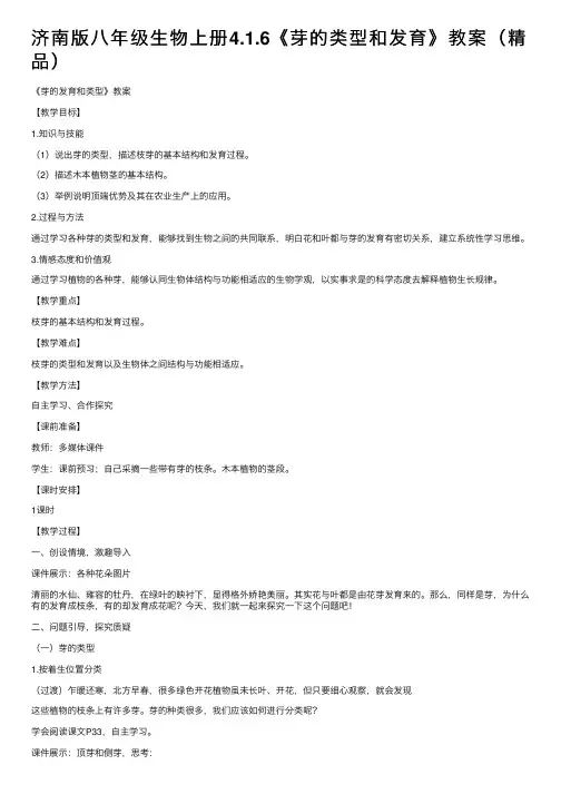 济南版八年级生物上册4.1.6《芽的类型和发育》教案（精品）