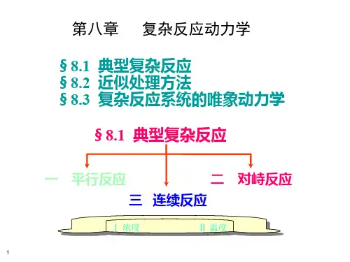 典型复杂反应对峙ppt课件
