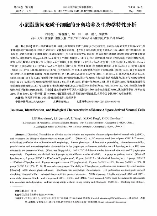 小鼠脂肪间充质干细胞的分离培养及生物学特性分析