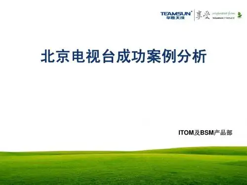 华胜天成摩卡BSM北京电视台成功案例分析