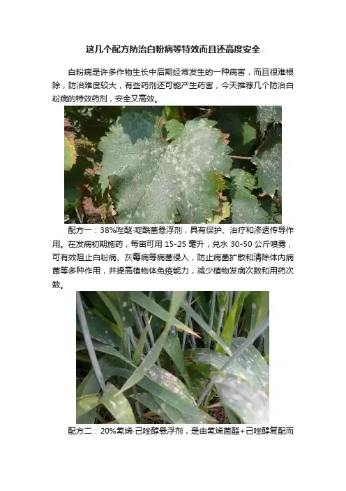 这几个配方防治白粉病等特效而且还高度安全