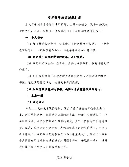 青年骨干教师培养计划(5篇)